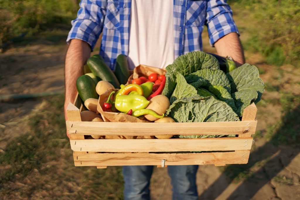 Ein Bauer hält eine Gemüsebox